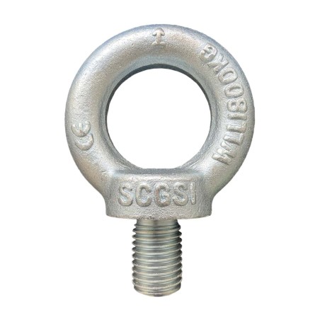 Din 580 Male Eye Bolt