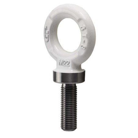 Alloy Steel Ring Bolt