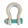 Bow shackle with safety bolt