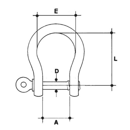 Stainless Steel Bow Shackle