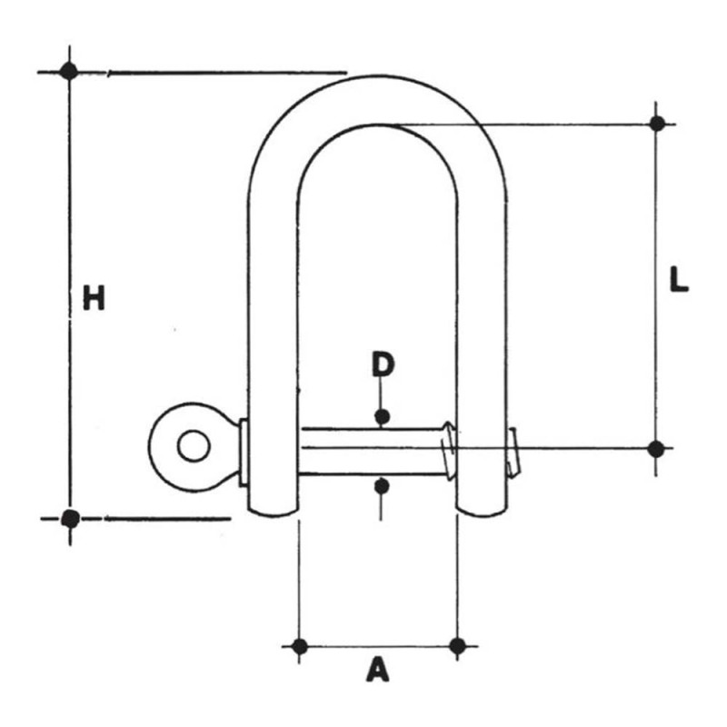 Stainless Steel Dee Shackle