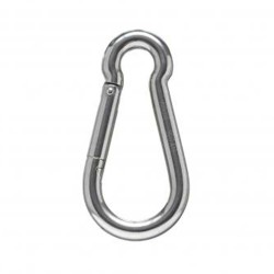 Stainless Steel Carabiner