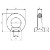Female Stainless Steel Lifting Eye