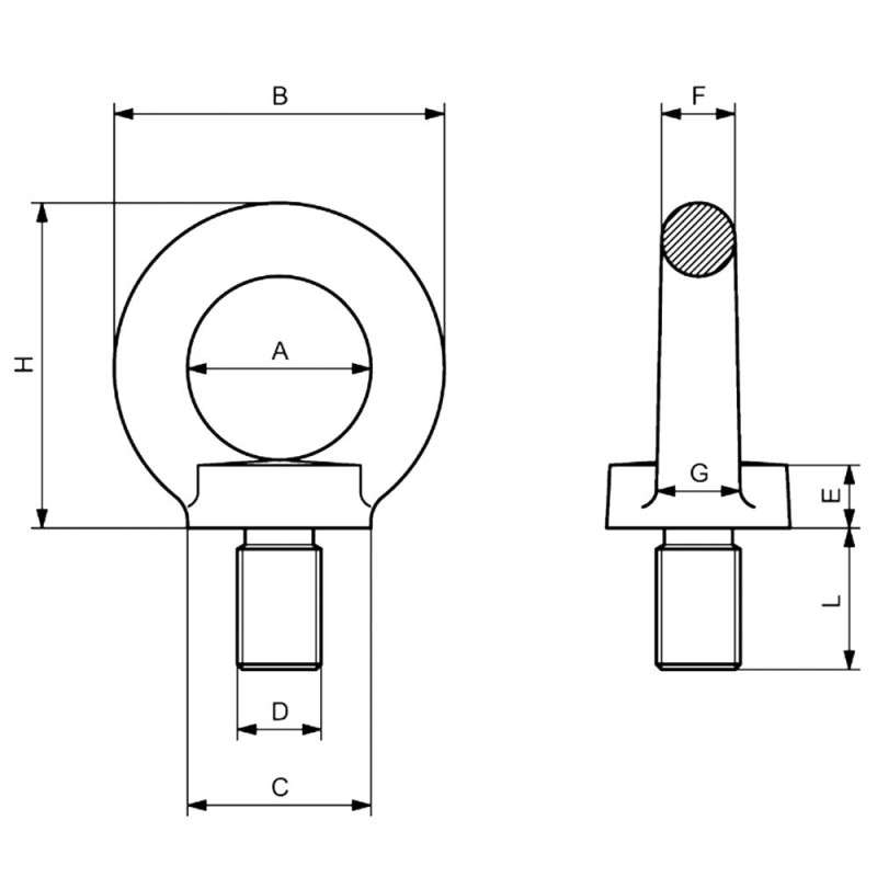 Male Stainless Steel Lifting Eye